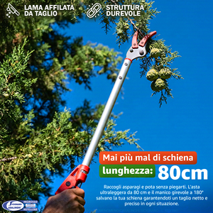 Tijeras Resistentes para Frutas y Espárragos con Mango de Plástico de 80 cm - Product Image 1