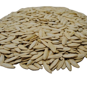 00大尺寸雪白南瓜种子食品chat nowcontact supplier2 yrsbgsupplier