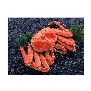 ขายส่งปูทั้งตัวแช่แข็งคุณภาพดีราคาถูกส่งออกทั่วโลก - Product Image 1