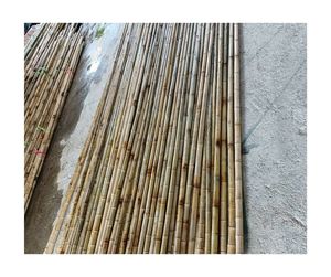 Natural Bamboo Cane <b>Pole</b> Wholesale Eco-Friendly Material High Quality <b>for</b> <b>Garden</b> and Farm Use Vietnam Export Factory - Product Image 5