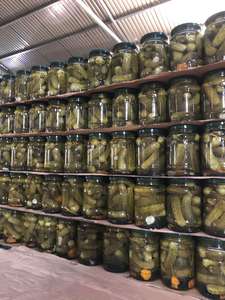 Concombre frais en conserve, cornichon frais, haute qualité, prix bas, en pots - Product Image 3