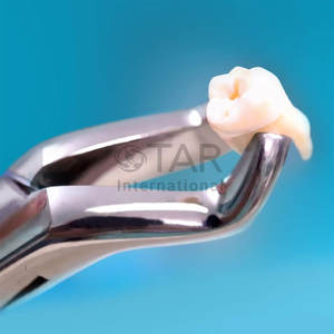 ชุดคีมถอนฟันเครื่องมือทางการแพทย์3ชิ้น (#150, #151, #23) คีมปลายแหลม - Product Image 2