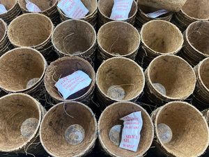 Round Thick Coconut Fiber Liner Coco Liner for Hanging <b>Baskets</b> Replacement - Product Image 5