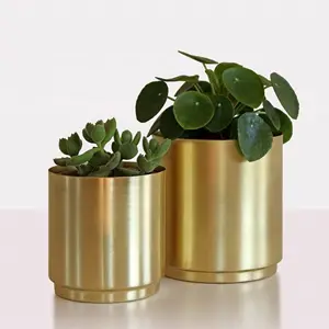 Luxe Metalen Plantenbak Potten Met Effen Matte En Vergulde Beste Kwaliteit Huis Tuin & Vloerdecoratie Bloempotten