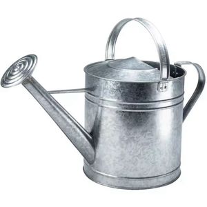 Vente en gros Arrosoir en acier à long bec Arrosoir 2l avec buse détachable Arrosoir en métal intérieur et extérieur - Product Image 5