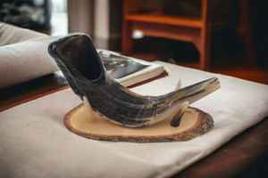 Shofar de Cuerno de Carnero Pulido Natural Kosher, Tamaño Personalizado, Material Orgánico para Fines Religiosos, Decoración Náutica para el Hogar - Product Image 5