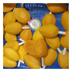 Tranches de mangue surgelées biologiques en vrac, LQF, conservation de l'eau, emballage sous vide, 100% mangue fraîche - Caryln - Product Image 4