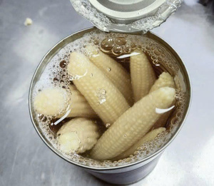 Baby Corn in Can With Whole Size, <b>Canned</b> Baby Corn With Natural Brined Preservation, High-Quality <b>Canned</b> Corn <b>Vegetable</b> 99 GD - Product Image 3