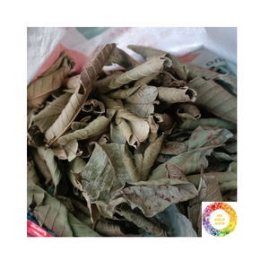 Thé en feuilles de goyave de qualité supérieure Infusion naturelle aux herbes Approvisionnement en gros en vrac Emballage personnalisé Mélange de feuilles de goyave séchées pour la consommation quotidienne - Product Image 5