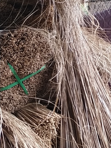 Bâton de balai de feuille de noix de coco écologique idéal pour jardin domestique et usage industriel - Product Image 6