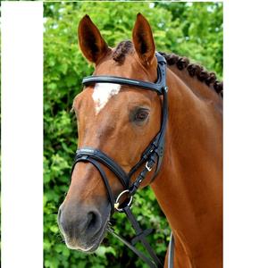 Brida de Cuero de Caballo de Alta Calidad al por Mayor, Diseño de Brida Profesional - Product Image 3