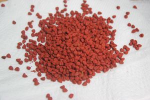 เมล็ดแอนแนตโตสีธรรมชาติ - Product Image 3