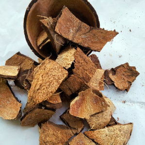 Meilleures ventes 2024 pour la vente en gros de coquilles de noix de coco naturelles vietnamiennes à bas prix prêtes pour l'exportation - Product Image 4