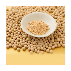 Bulk sale soya <b>flour</b> managed for rapid dispatch and consistent quality - Product Image 3