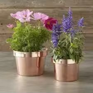 Macetas y macetas para balcón y hogar de nuevo diseño, macetas de flores de Color verde de estaño galvanizado de la mejor calidad de la India - Product Image 4