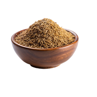 Graines de cumin d'origine de haute qualité Graines Jeera Arôme fort Goût naturel Épice sans gluten Fournisseur en gros d'exportation