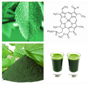 El mejor precio Soluble en agua, sodio, cobre, clorofilina en polvo, polvo de clorofila - Product Image 6