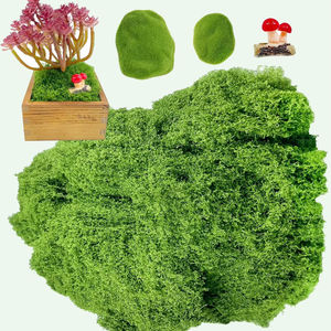 Expédition rapide depuis l'entrepôt américain, fleurs artificielles en mousse écologiques et légères, 30g (1.05oz) / 150g (5.3oz), support pour plantes en plastique - Product Image 1