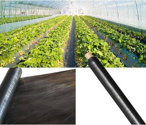 Résistance aux UV Grands films de paillis en plastique PE Rouleau de film de paillis agricole fabriqué au Vietnam T & T Feuille de paillage d'emballage - Product Image 1