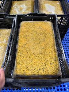 Purée de fruits de la passion surgelés du Vietnam de qualité supérieure Parfait pour les boissons Desserts Smoothies et pâtisserie Saveur tropicale naturelle - Product Image 4