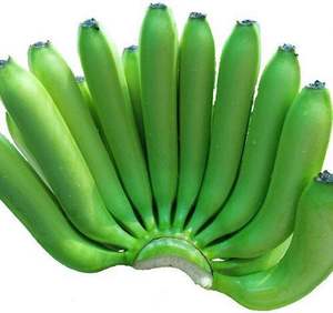 Vente en gros de bananes fraîches Cavendish vertes fournitures de haute qualité à prix compétitif - Product Image 3