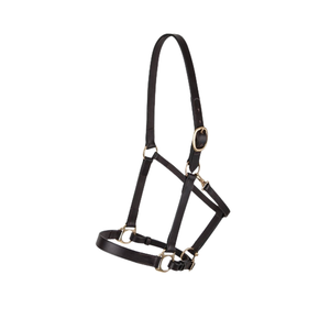 2025 meilleure vente Premium en cuir indien équestre cheval Dressage licou haut Premium plaine cheval licou à bas prix de gros - Product Image 4