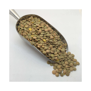 Meilleur prix lentilles vertes entières australiennes sèches de qualité biologique un stock en vrac de 25kg disponible avec emballage personnalisé - Product Image 1