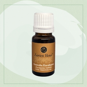 Huile essentielle d'eucalyptus australien 100% pure, qualité thérapeutique pour la peau - Product Image 1