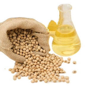 Paquet en vrac de graines de soja séchées sans OGM de qualité supérieure - Product Image 4