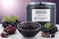 WELL ALIMENTS Braziliaans sinaasappelsapconcentraat - Versgeperst, diepvries, 66 Brix, Sao Paulo oorsprong, 100% puur, 24 maanden houdbaarheid