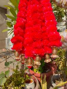 Cuerdas de flores de caléndula Cuentas doradas para Halloween Back School Bodas indias Diwali Templos Haldi Graduaciones Día de la madre - Product Image 3