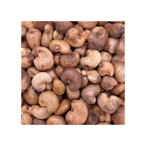 Noix de cajou brutes offertes à prix réduit pour les industries des snacks et de la transformation des noix - Product Image 1