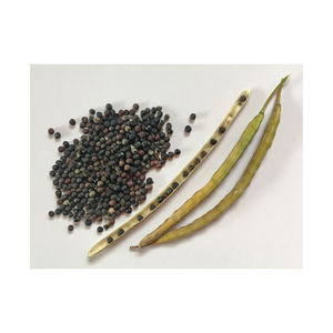 Graines de colza en gros, préparées pour la grande distribution et les besoins de vente au détail - Product Image 4