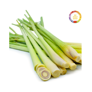 Vietnam Tropical Citronnelle congelée IQF Coupe entière et hachée pour l'exportation en vrac Fourniture d'herbes en gros - Product Image 1