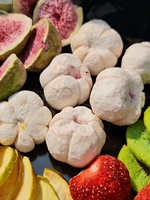 Gefreeze-droogde (FD) Durian Fruitmix met siroopconservering, rechtstreeks uit Vietnam, bulkverpakking
