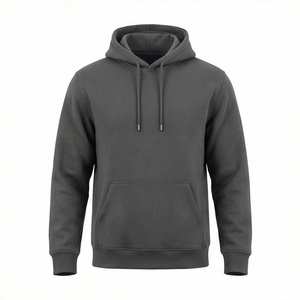 Sweat-shirt à capuche unisexe en coton 300 GSM, léger, confortable, chaud, décontracté, vente en gros directe d'usine, fourniture personnalisée, haut de gamme - Product Image 1