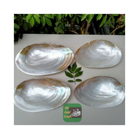 VIETNAM PLATEAU EN COQUILLE DE NACRE FAIT MAIN POUR L'EXPORTATION À BAS PRIX PARFAIT POUR LA DÉCORATION ET LES ENSEMBLES CADEAUX