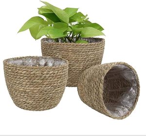 Panier de rangement en jonc de mer tissé à la main en gros, pot de fleurs et contenants pour plantes Bao Minh TP579 directement du Vietnam - Product Image 1