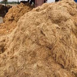 Fibre de coco naturelle de noix de coco adaptée aux meubles de tapis de corde de brosse de matelas et à la production artisanale pour les acheteurs d'exportation - Product Image 3