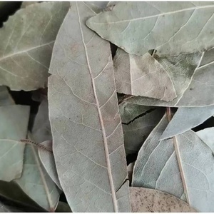 Hojas de Laurel Secas AD, Hierba Culinaria Cruda Seca, Hojas Verdes Enteras en Trozos de 50 kg para Cocinar y Sazonar - Product Image 6