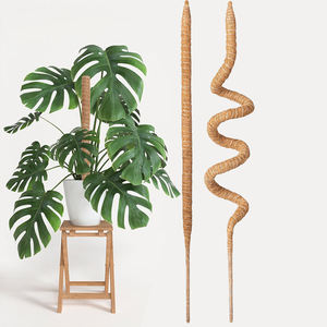 Stock US, livraison rapide ! Lot de 2 poteaux carrés écologiques biodégradables en fibres de coco de 39,3 pouces pour jardin domestique - Frais de port inclus - Product Image 4