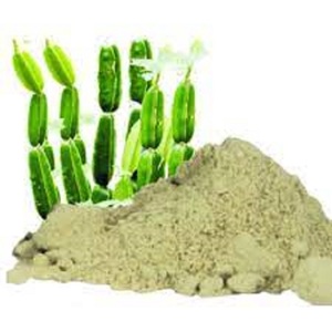 Suministro a granel de fábrica 100% polvo de extracto de hierba de raíz de Cissus Quadrangularis de grado alimenticio Natural embalaje de tambor de solvente puro - Product Image 1