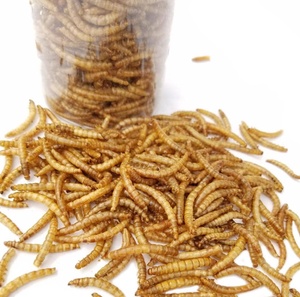 Comida de pájaros de gusanos de harina seca para comida de mascotas - Product Image 3