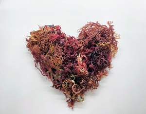 Vietnam <b>Dried</b> Sea <b>Moss</b> | Popular Export Item | 100% Natural | VIET DELTA - Product Image 1