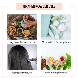 Polvo Brahmi | Bacopa Monnieri, 100% Pure Bacopa Monnieri Extracto en polvo, planta de hierbas Bacopa Monnieri Extracto a precio a granel - Product Image 4