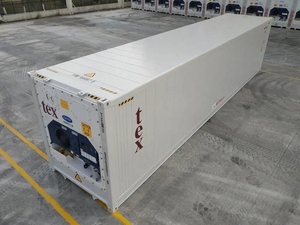 Used <strong>Carrier</strong> 10ft Refrigerated Container Reefer Shipping Container 40 ft Used/New 40 ft Refrigerated Container <strong>Exporting</strong> to UAE - Product Image 2