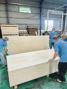 Precio de fábrica, película de núcleo de álamo, madera contrachapada enfrentada, 28mm, 1220x2440x12mm, 18mm, 21mm, Emisión de formaldehído E0 para materiales de construcción - Product Image 4