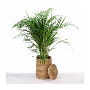 High Quality Natural Rattan Container With Lid Handmade Convenient Foldable Design Shoes <b>Toys</b> <b>Storage</b> Customized Service - Product Image 4