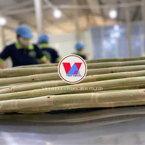 CAÑA DE AZÚCAR ENTERA CONGELADA | PURAMENTE PROCESADA | PARA UN ESTILO DE VIDA SALUDABLE - Product Image 2