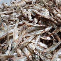 Vente en gros de mini anchois séchés, petits poissons sprat séchés, anchois de qualité supérieure à séchage au soleil de l'usine du Vietnam